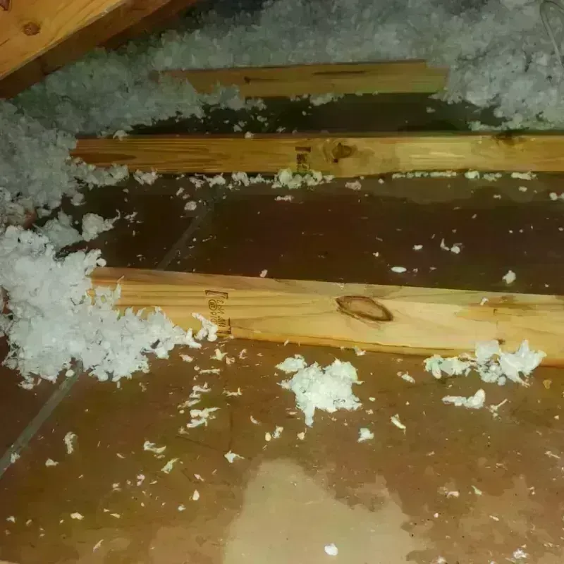 Attic Water Damage in Crowley, TX