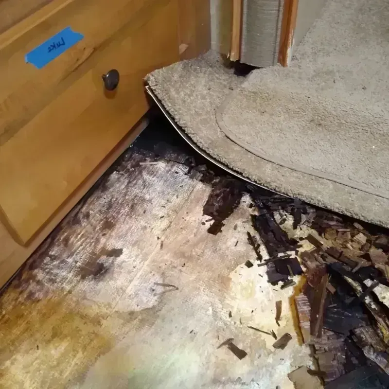 Wood Floor Water Damage in Crowley, TX